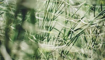 Jak vyrobit amulet pro štěstí vlastníma rukama