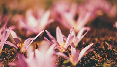 jak vyrobit amulet pro štěstí vlastníma rukama