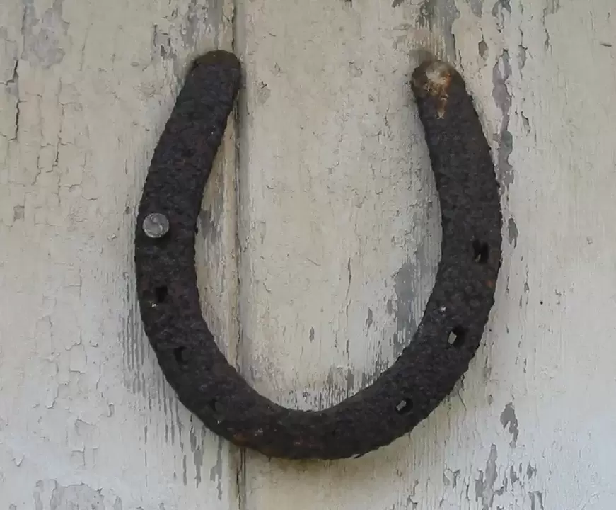 hodně štěstí amulet - podkova